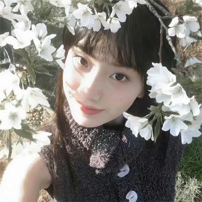 谎话连篇 浪花梦之阵